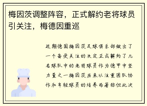 梅因茨调整阵容，正式解约老将球员引关注，梅德因重巡