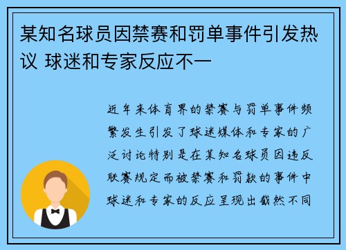 某知名球员因禁赛和罚单事件引发热议 球迷和专家反应不一